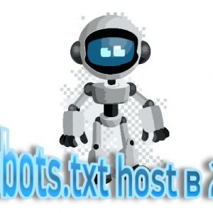 robots.txt host использование в 2021 - 2